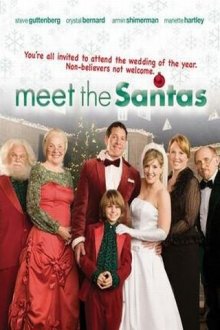 Знакомьтесь, семья Санта Клауса смотреть онлайн бесплатно HD качество